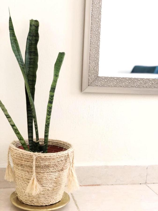 Lunas Apartment Palenque Dış mekan fotoğraf